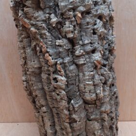 Large Cork Tube - Upto 40cm - 29