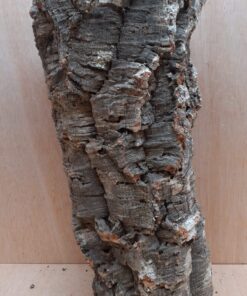 Large Cork Tube - 40-60cm - 17