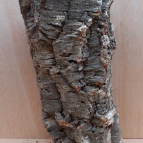 Large Cork Tube - 40-60cm - 17