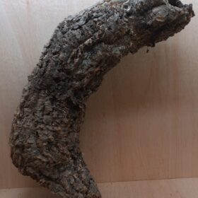 Large Cork Tube - 60-80cm - 15