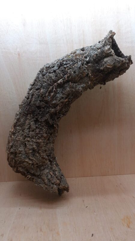 Large Cork Tube - 60-80cm - 15