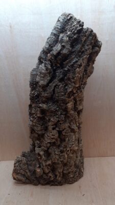 Large Cork Tube - 60-80cm - 16