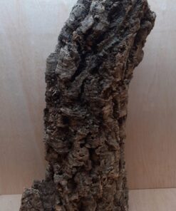 Large Cork Tube - 60-80cm - 16