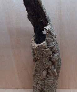 Large Cork Tube - 60-80cm - 19