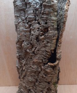 Large Cork Tube - 60-80cm - 20
