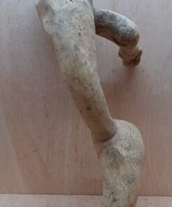 Bamboo Root - Large - 1