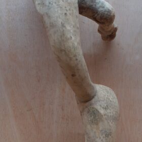 Bamboo Root - Large - 1