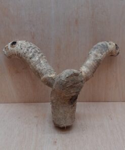 Bamboo Root - Small - 2