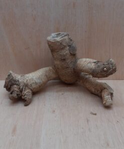 Bamboo Root - Small - 3