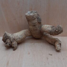 Bamboo Root - Small - 3