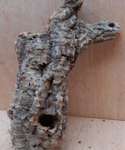 Medium Cork Tube - Upto 40cm - 27