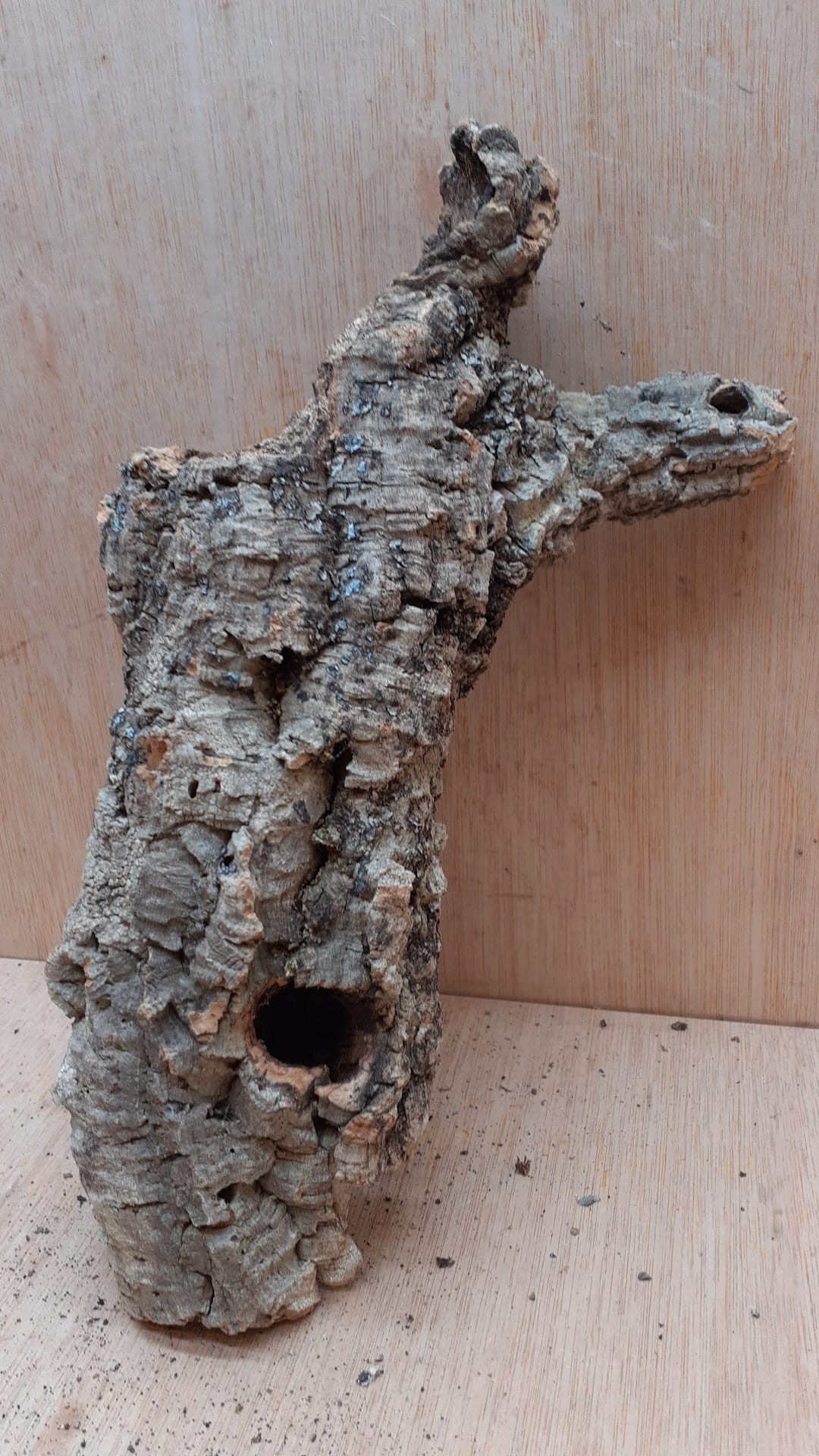 Medium Cork Tube - Upto 40cm - 27