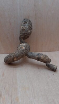 Bamboo Root - Small - 1