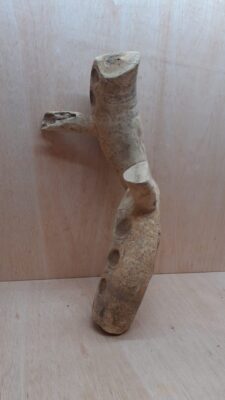 Bamboo Root - Medium - 6