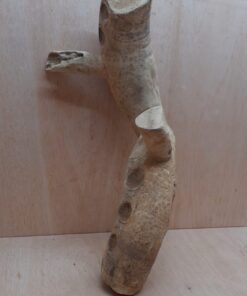 Bamboo Root - Medium - 6