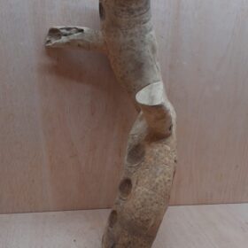 Bamboo Root - Medium - 6