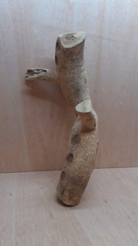 Bamboo Root - Medium - 6