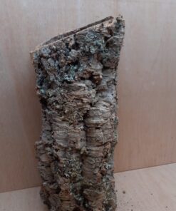 Large Cork Tube - 40-60cm - 18