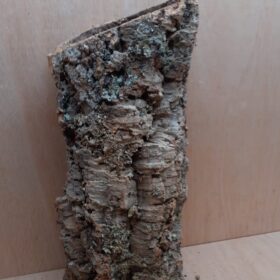 Large Cork Tube - 40-60cm - 18