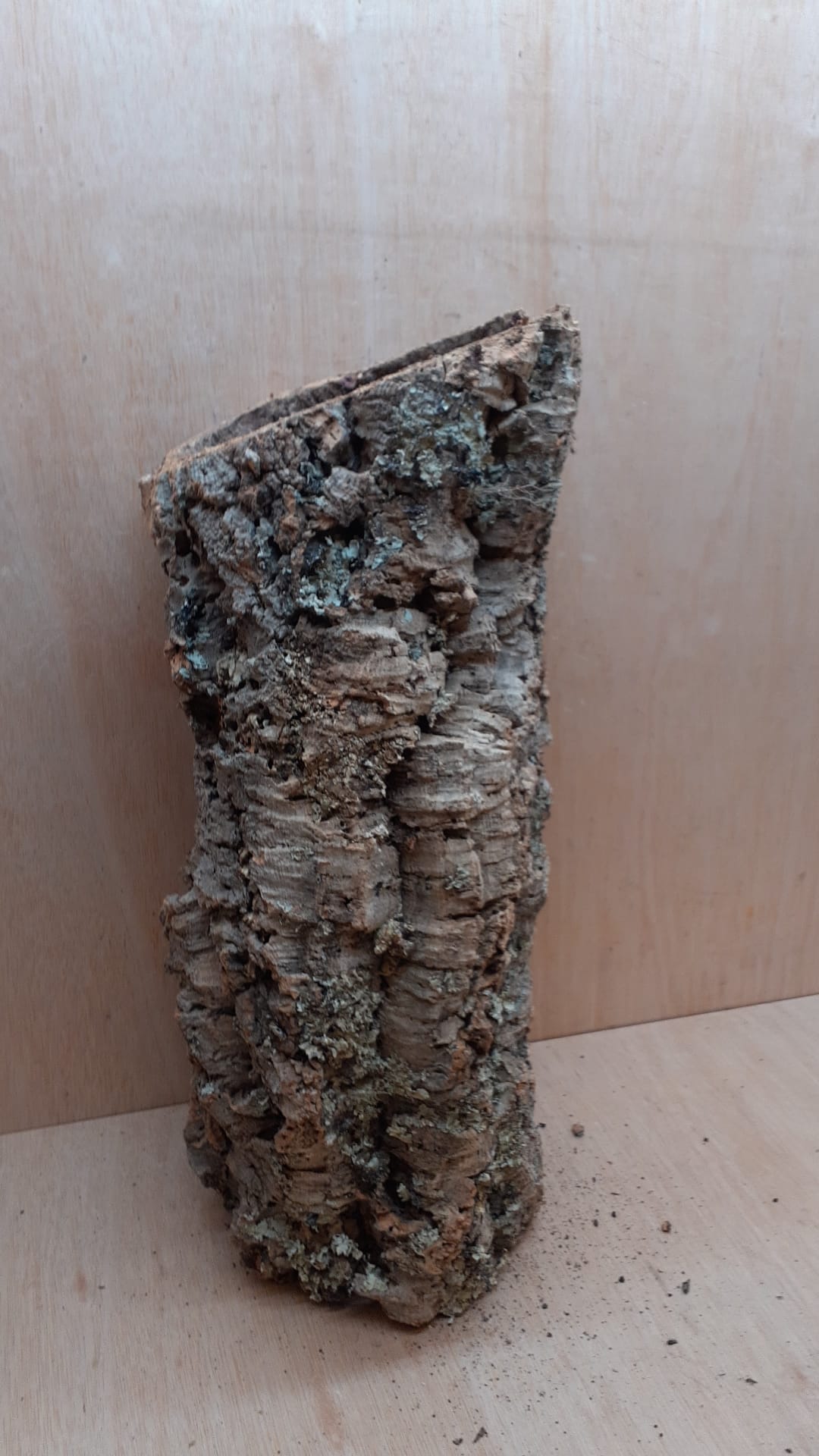 Large Cork Tube - 40-60cm - 18