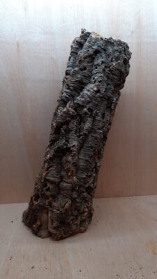 Large Cork Tube - 60-80cm - 17