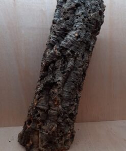 Large Cork Tube - 60-80cm - 17