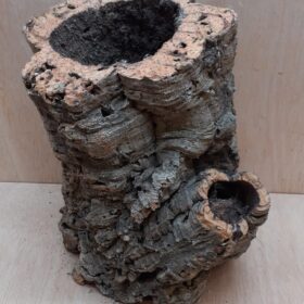 Large Cork Tube - Upto 40cm - 22