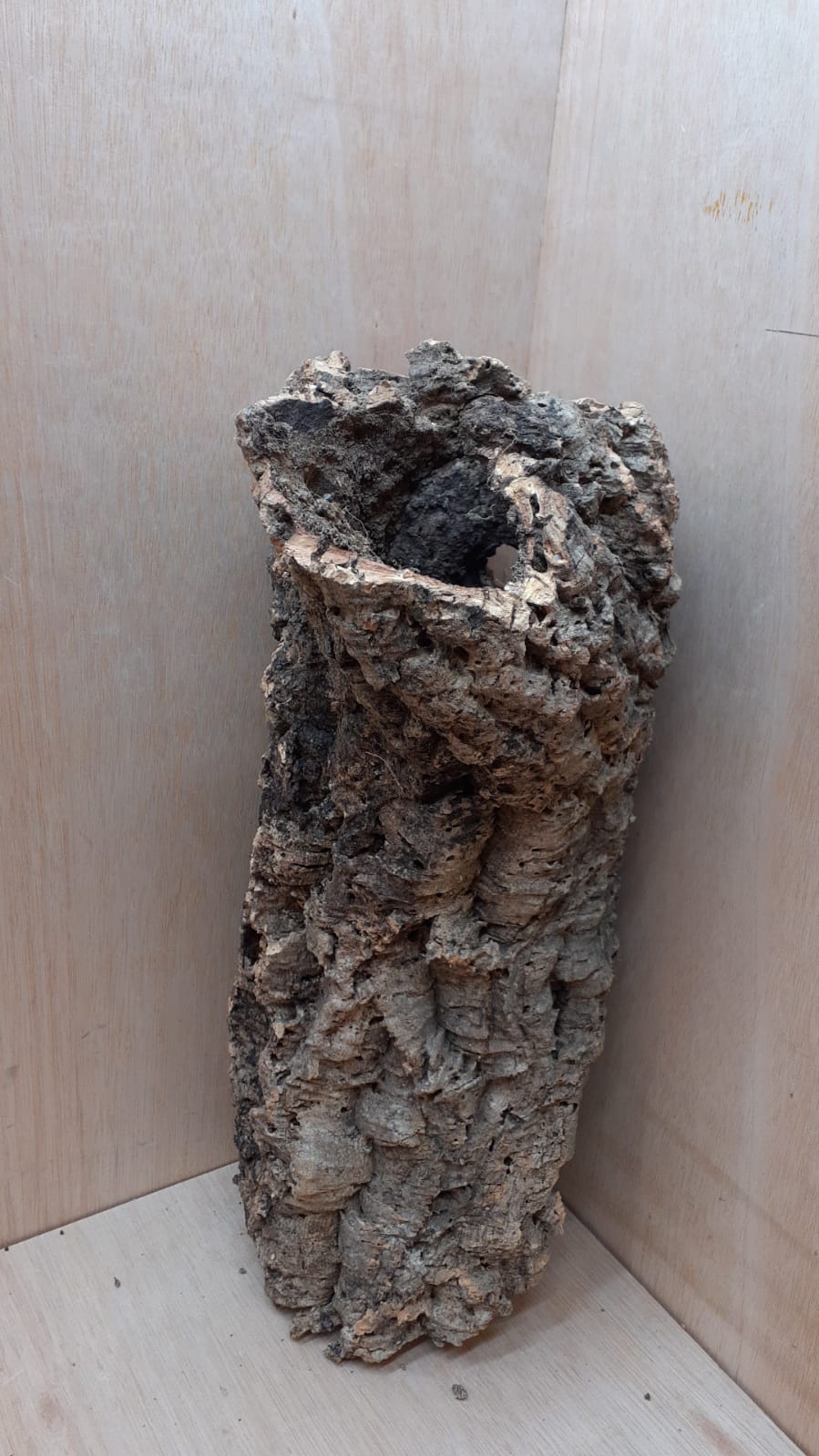 Large Cork Tube - 40-60cm - 16