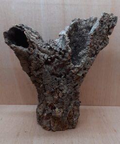 Large Cork Tube - 40-60cm - 20