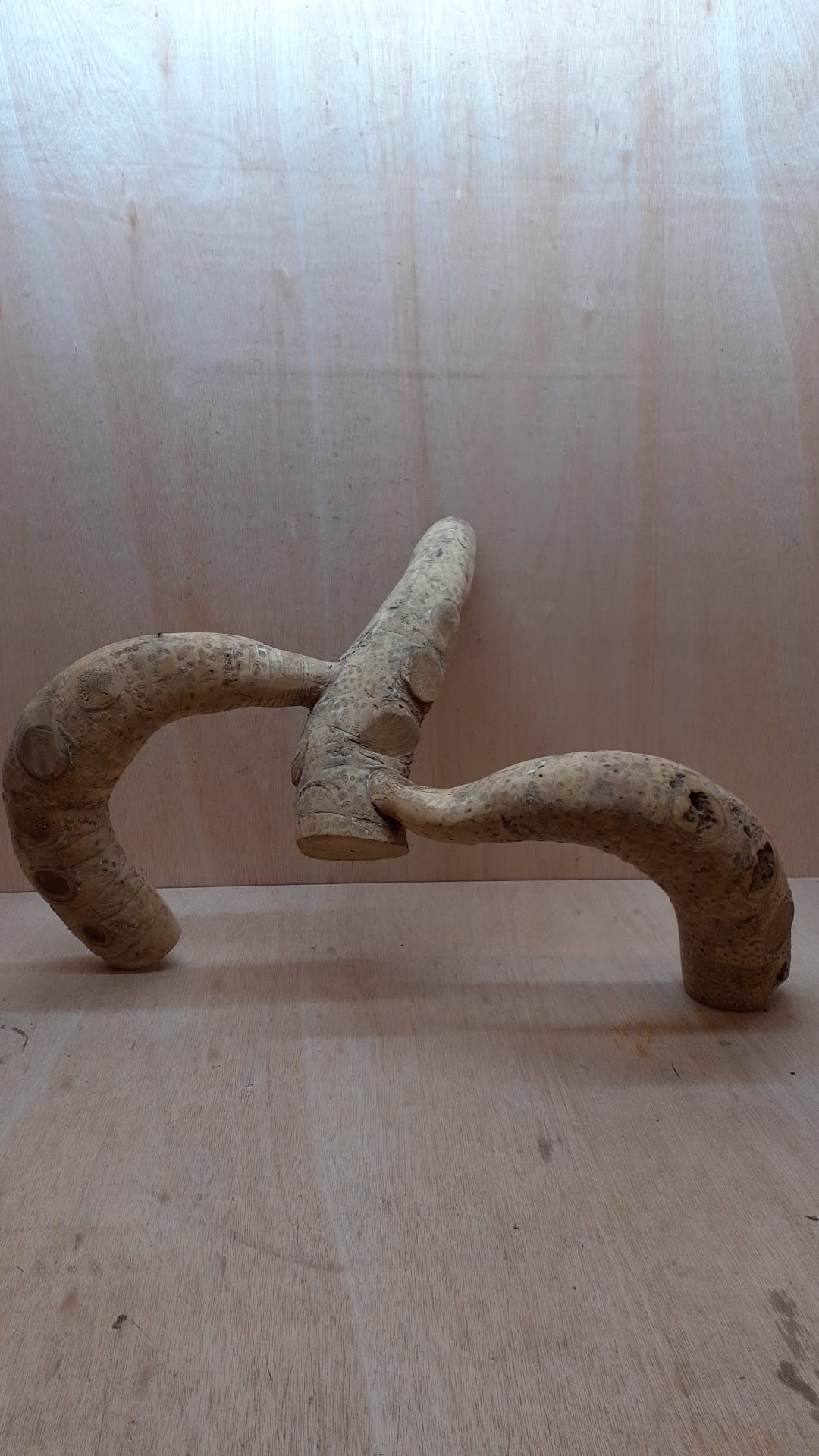 Bamboo Root - Large - 2