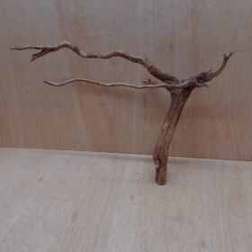 Moorwood - Large 11
