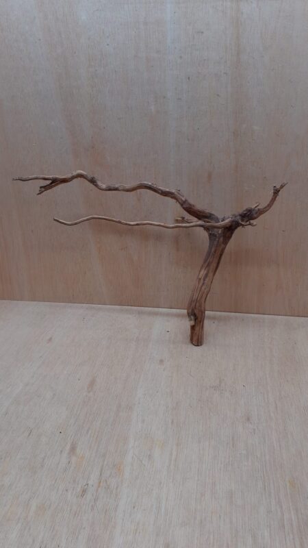 Moorwood - Large 11