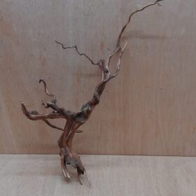 Moorwood - Large 12