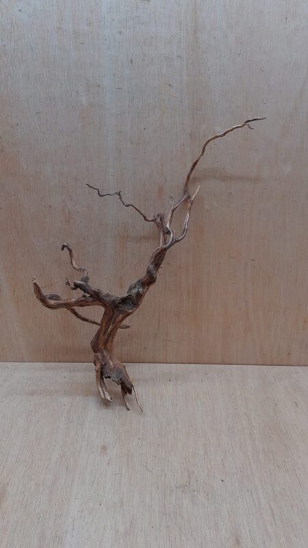 Moorwood - Large 12