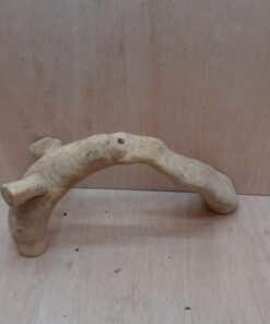 Bamboo Root - Medium - 10