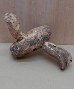 Bamboo Root - Small - 6