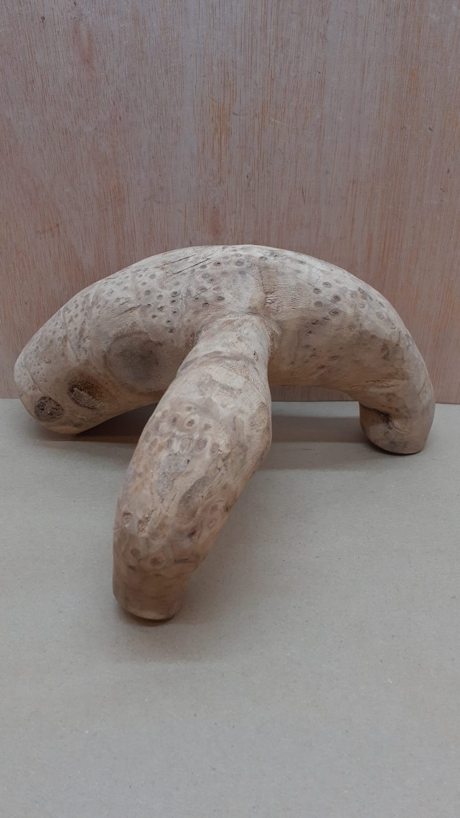 Bamboo Root - Small - 7