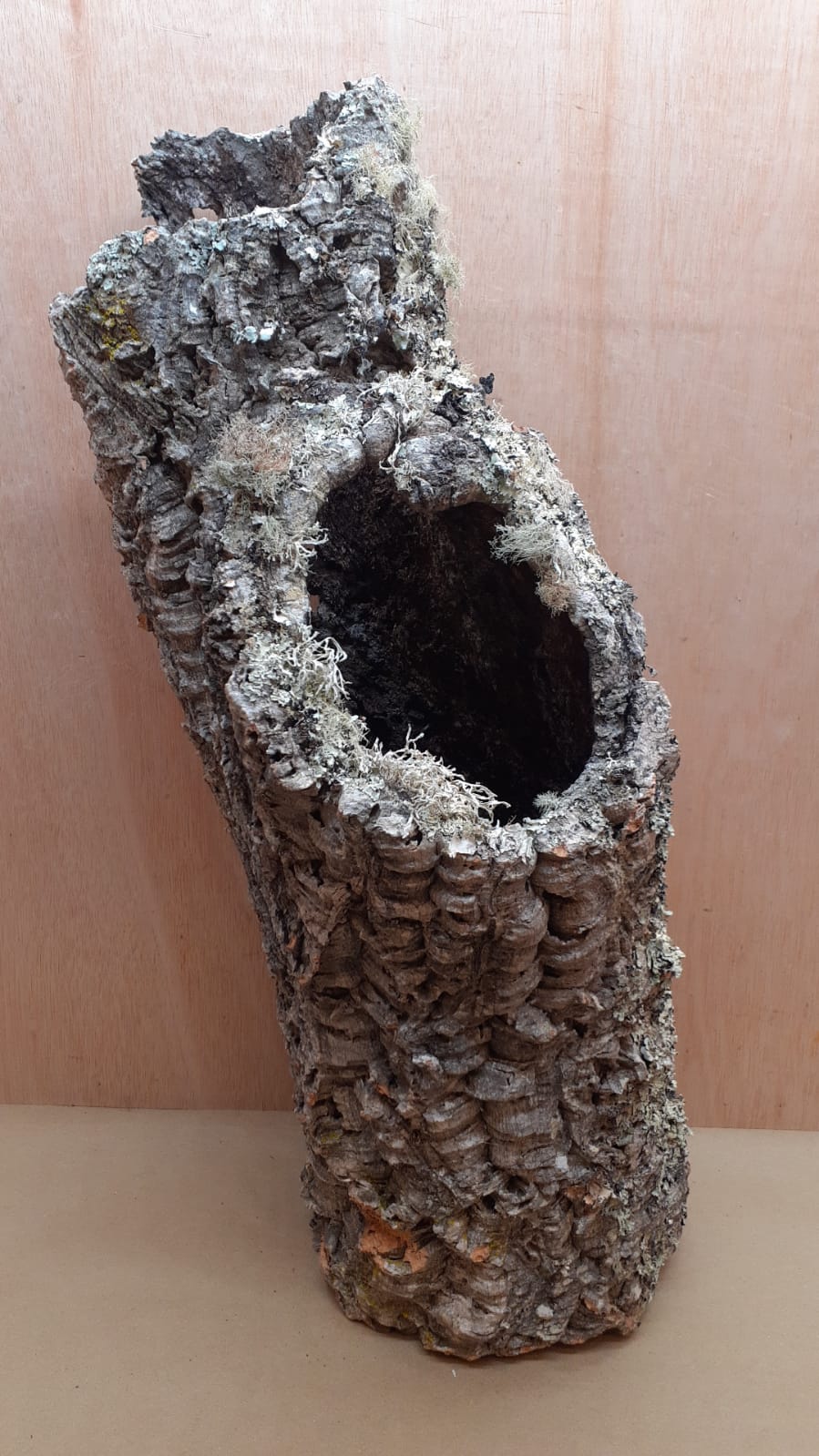 Large Cork Tube - 60-80cm - 15