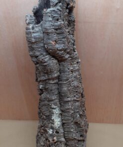 Large Cork Tube - 60-80cm - 18