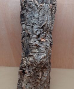 Large Cork Tube - 60-80cm - 19