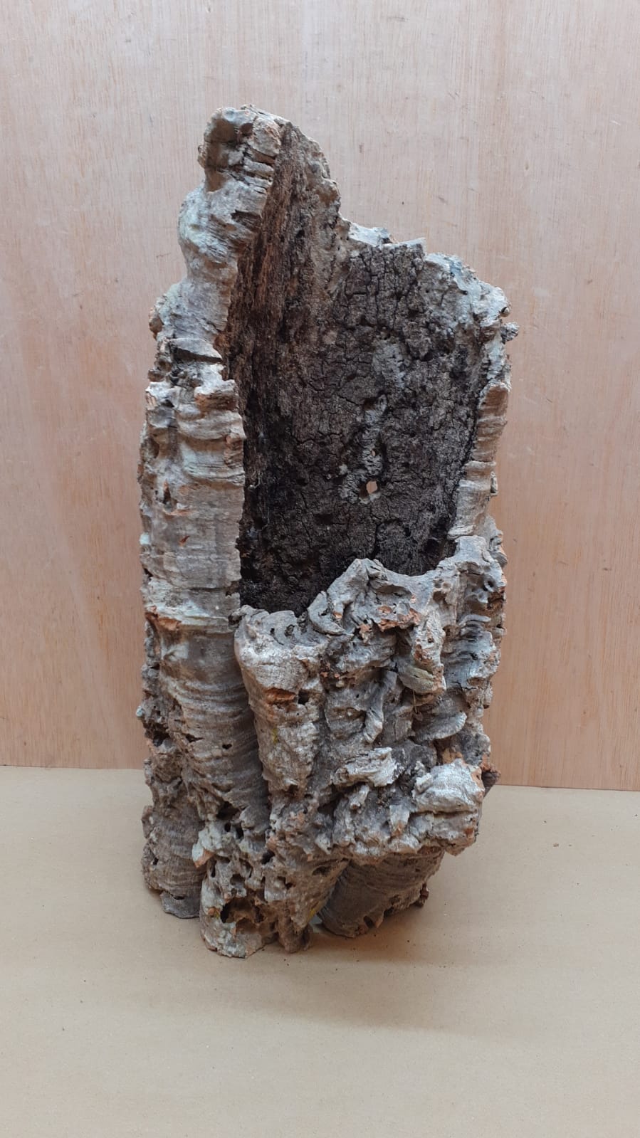 Large Cork Tube - 40-60cm - 16