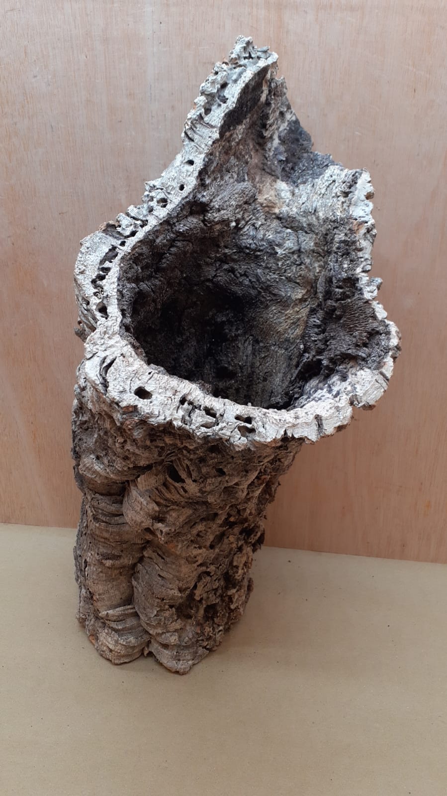 Large Cork Tube - 40-60cm - 17