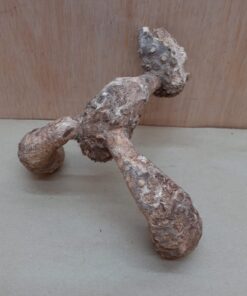 Bamboo Root - Small - 6
