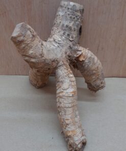 Bamboo Root - Small - 7