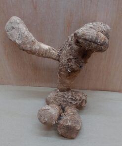 Bamboo Root - Small - 8