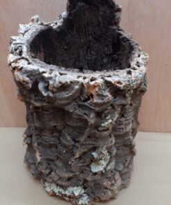 Large Cork Tube - Upto 40cm - 23