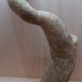 Bamboo Root - Large - 3