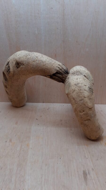 Bamboo Root - Large - 4