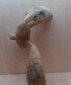 Bamboo Root - Large - 5