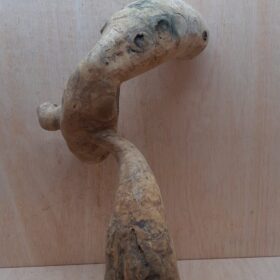 Bamboo Root - Large - 5